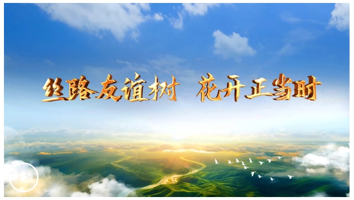 20250612100803503-1-f5e64.png