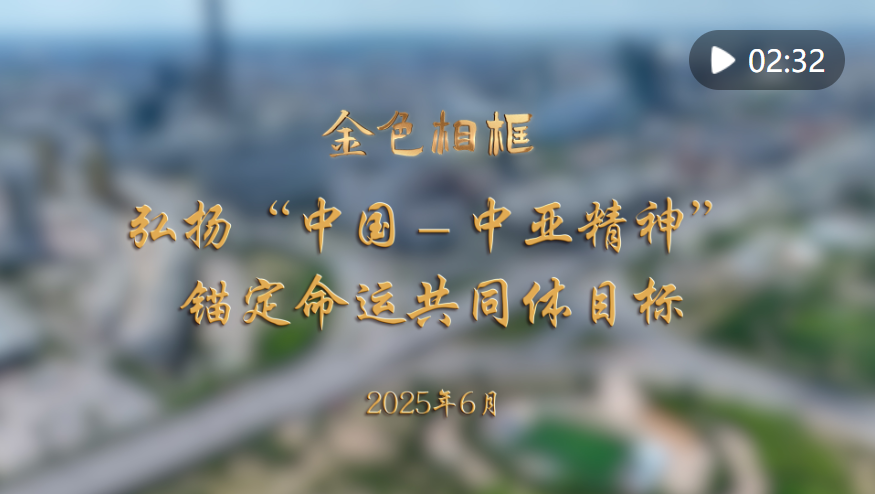 20250618204541209-19-1ea55.png