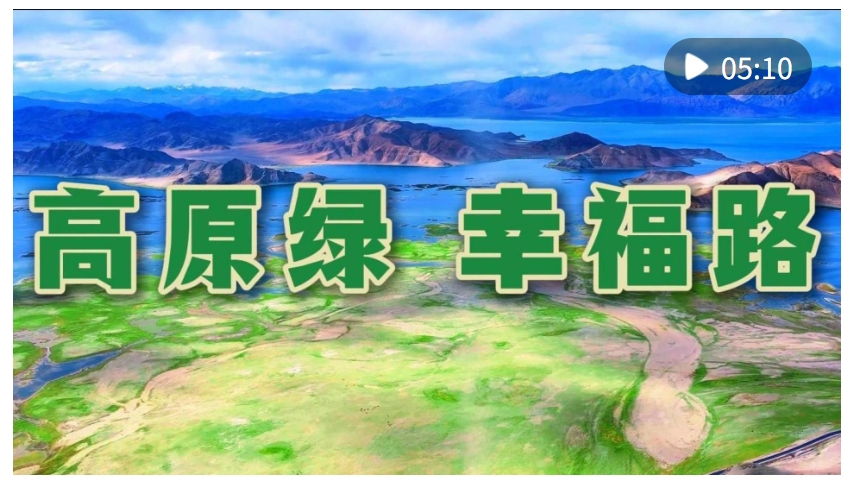 20250810170855062-91-4d17a.png