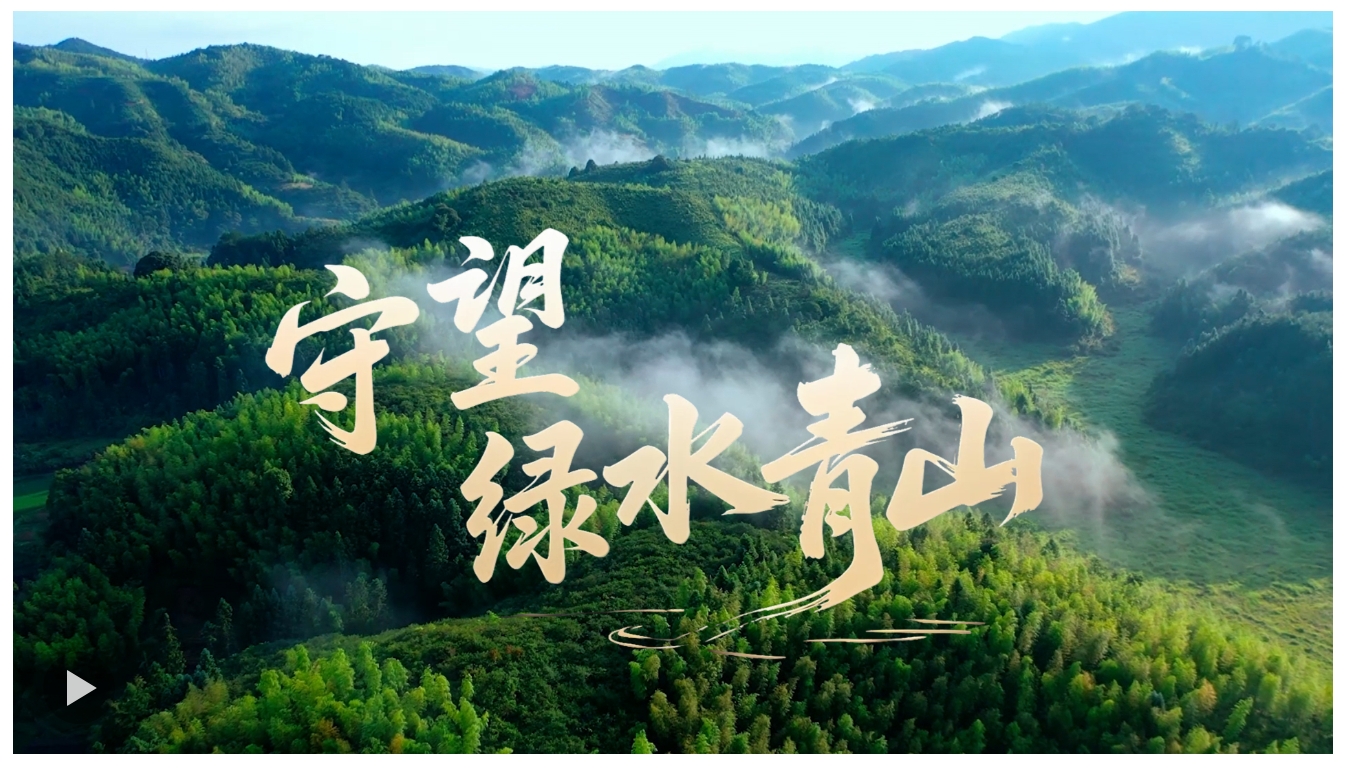 20250816084534873-88-fcbc0.png