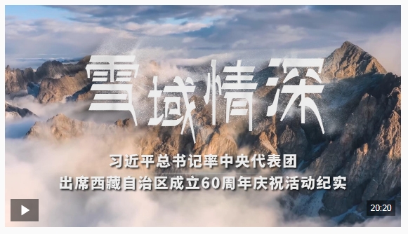 20250823203543764-92-d27fc.png