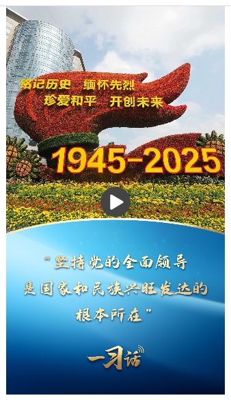 20250826125621921-18-9d86c.png