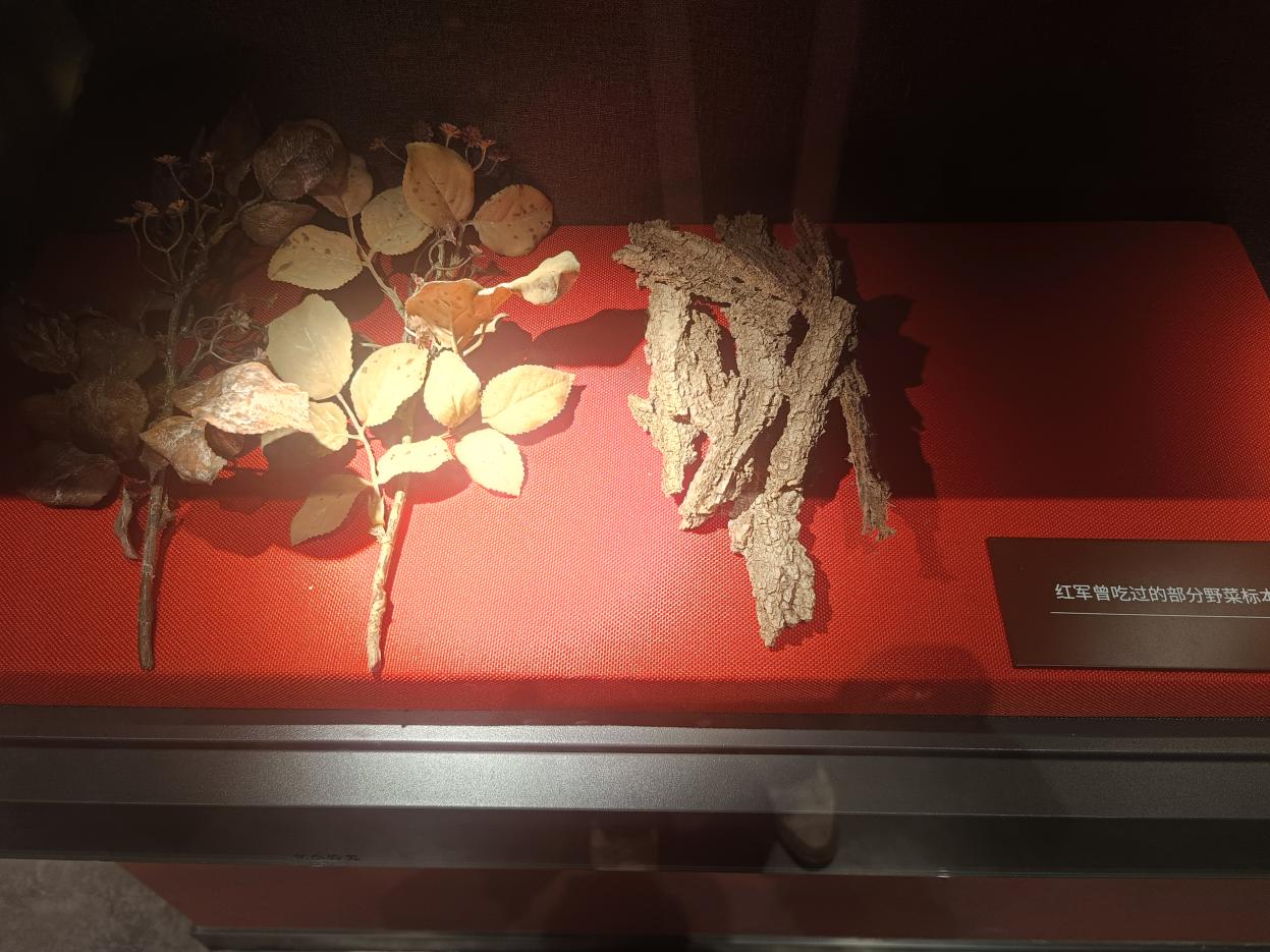 20251017144018443-12-c6aa4.jpg 20251017144018443-12-c6aa4.jpg