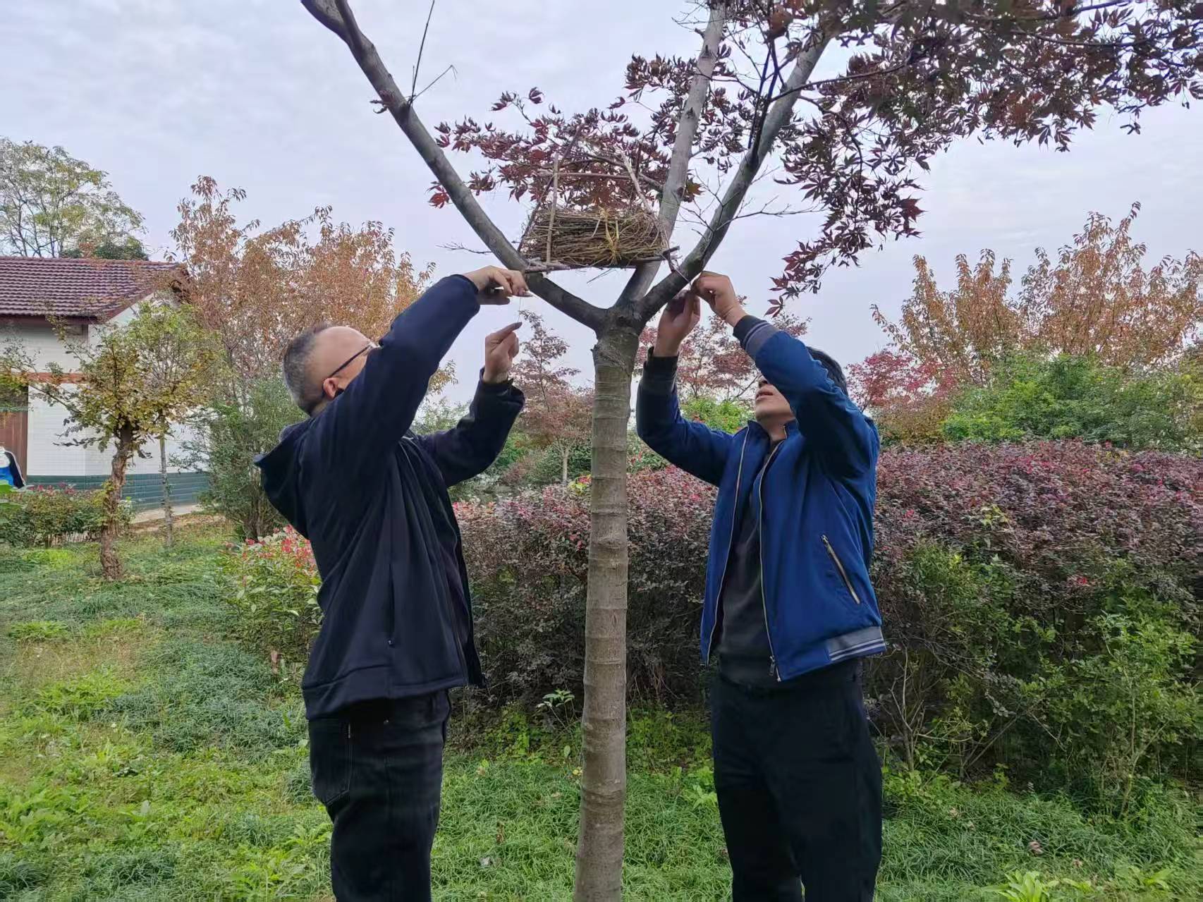 20251104161835594-23-cdcb0.jpg 20251104161835594-23-cdcb0.jpg