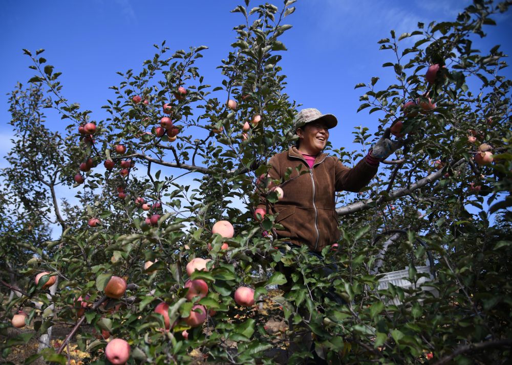 20251110121546585-9-0f6aa.jpeg 20251110121546585-9-0f6aa.jpeg