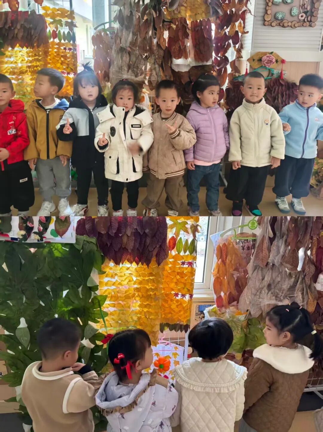 6dc72b5ec889ec19238556bae7aa073664021ad6