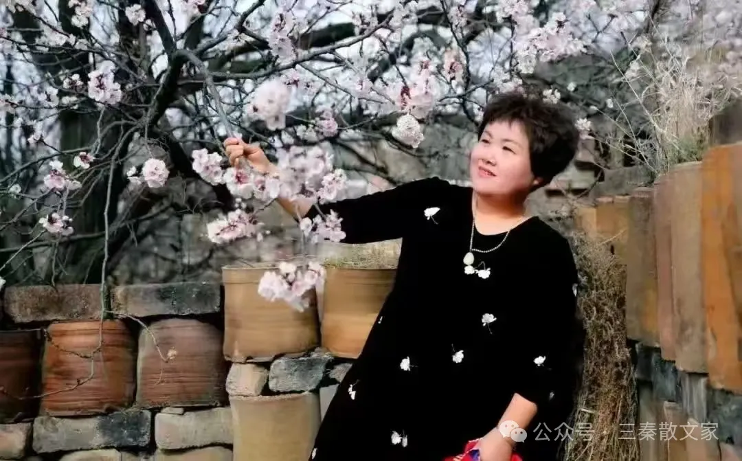 20251115172855555-87-ae660.png 20251115172855555-87-ae660.png