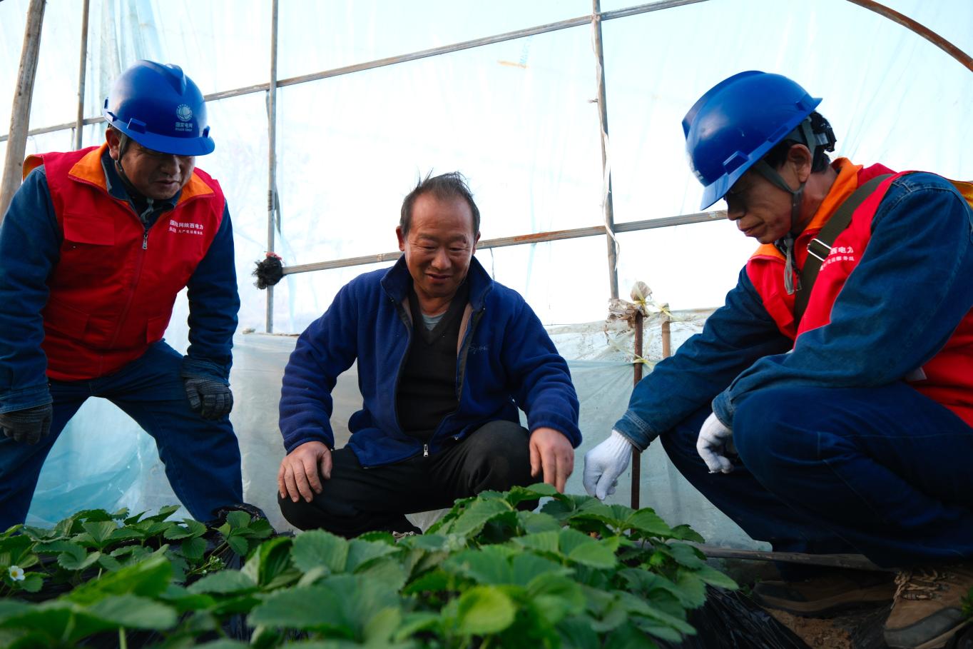 20251120123049762-25-9bb43.jpg_scale.jpg 20251120123049762-25-9bb43.jpg_scale.jpg