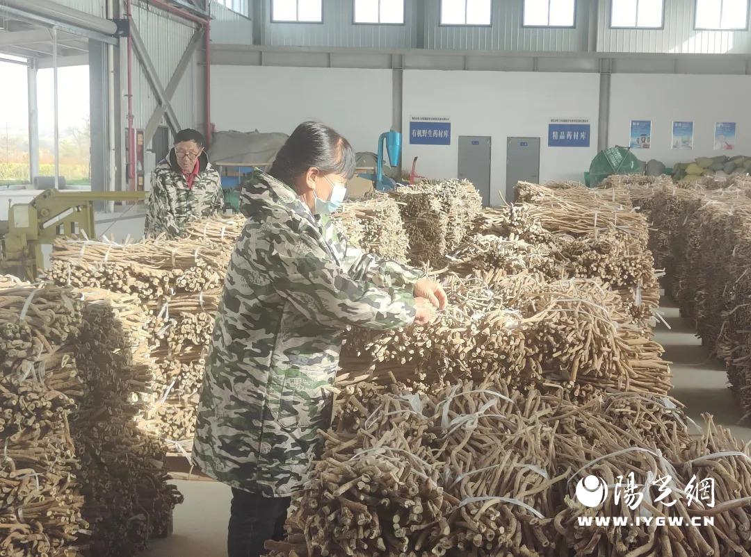 20251127155654993-66-b034e.jpg 20251127155654993-66-b034e.jpg