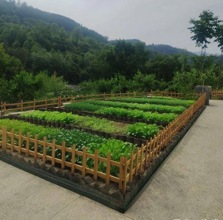 20251203110749907-67-3cf05.jpg 20251203110749907-67-3cf05.jpg