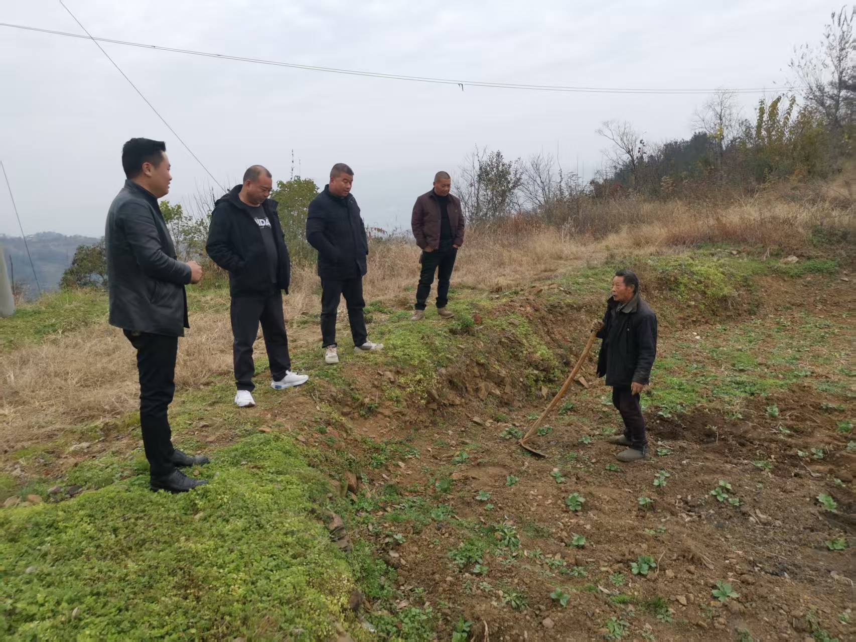 20251203170420064-65-d3f55.jpg 20251203170420064-65-d3f55.jpg