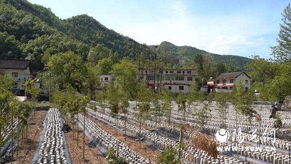 20251204143856360-50-0c386.jpeg 20251204143856360-50-0c386.jpeg