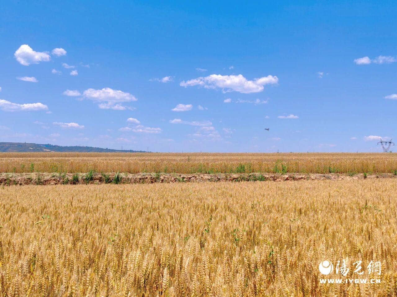 20251204175618469-18-0e7b0.jpg 20251204175618469-18-0e7b0.jpg