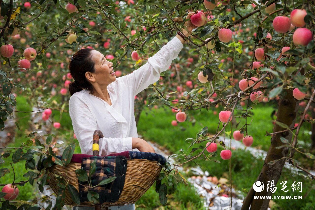 20251204175621815-59-90450.jpg 20251204175621815-59-90450.jpg