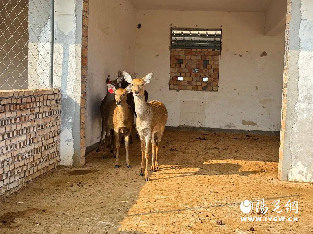 20251204175625322-26-7fd3c.jpg 20251204175625322-26-7fd3c.jpg