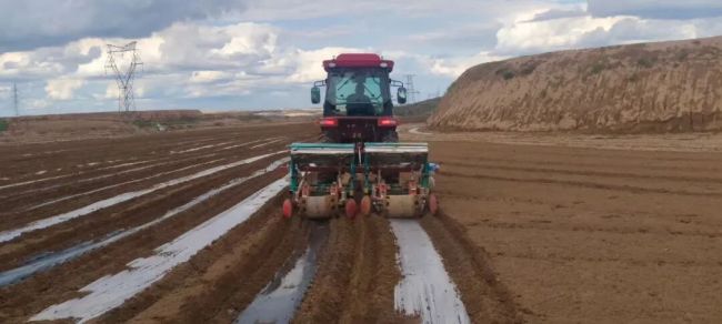 府谷县:旱塬“逆袭” 黄土生金