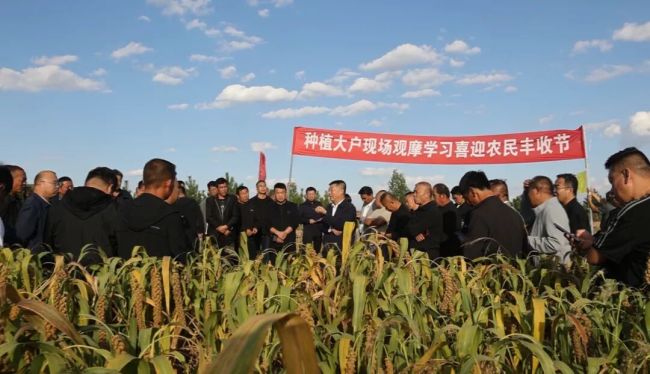 府谷县:旱塬“逆袭” 黄土生金