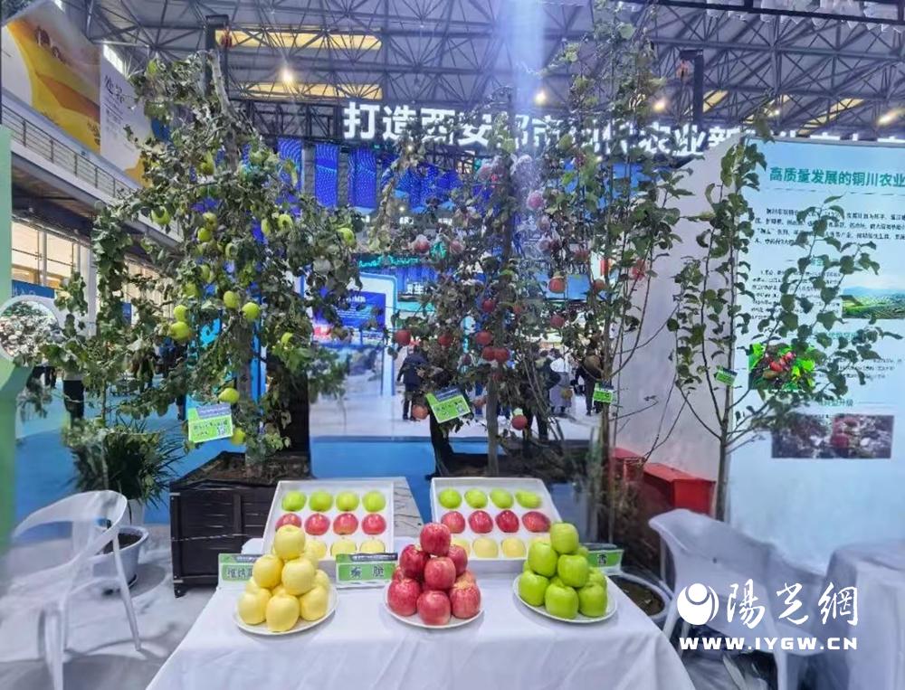 20251208170709849-67-b7ff3.jpg 20251208170709849-67-b7ff3.jpg