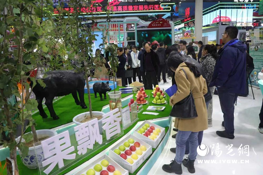 20251208170721441-41-a92da.jpg 20251208170721441-41-a92da.jpg