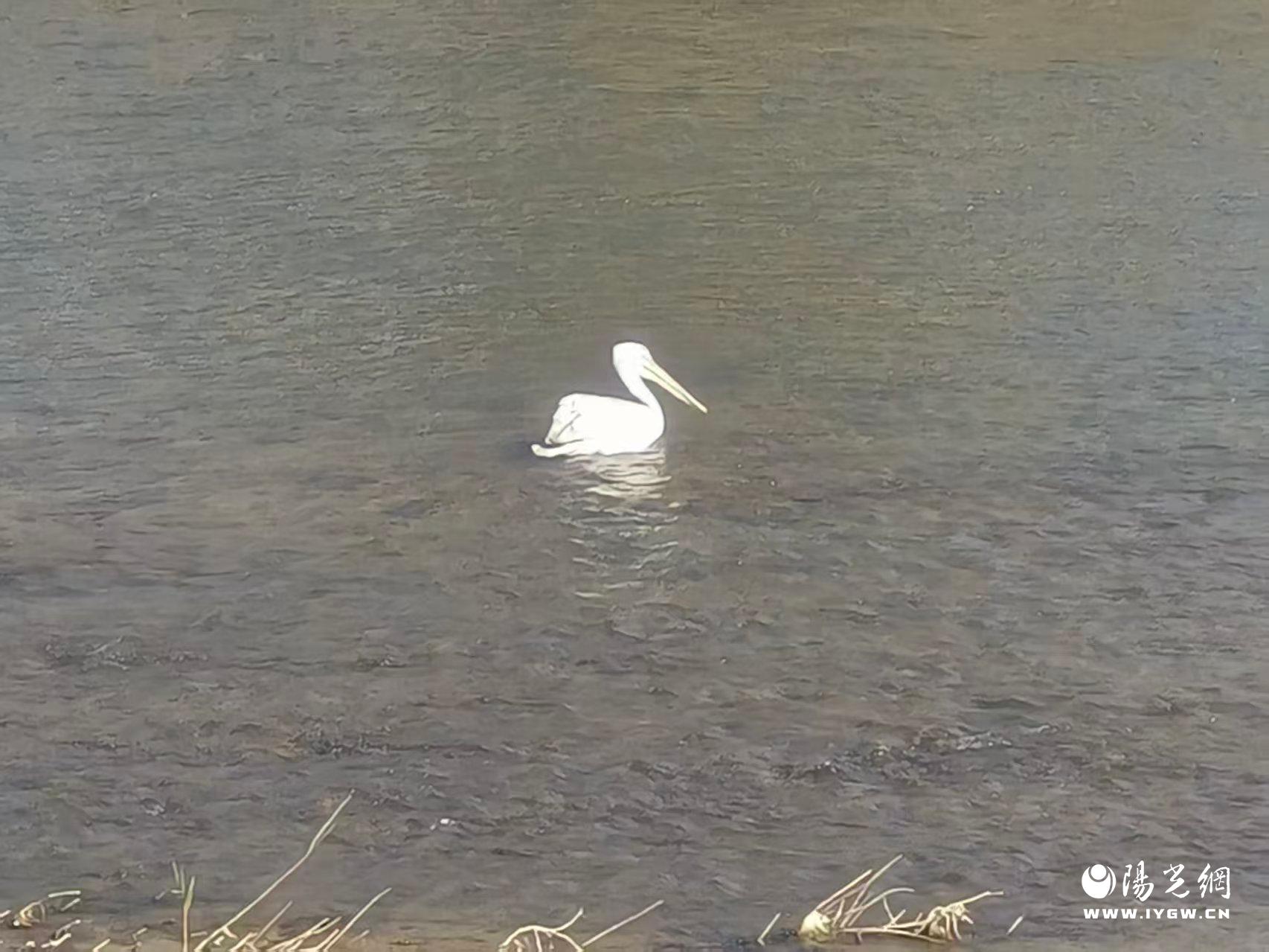 20251210160842355-13-f7a84.jpg 20251210160842355-13-f7a84.jpg