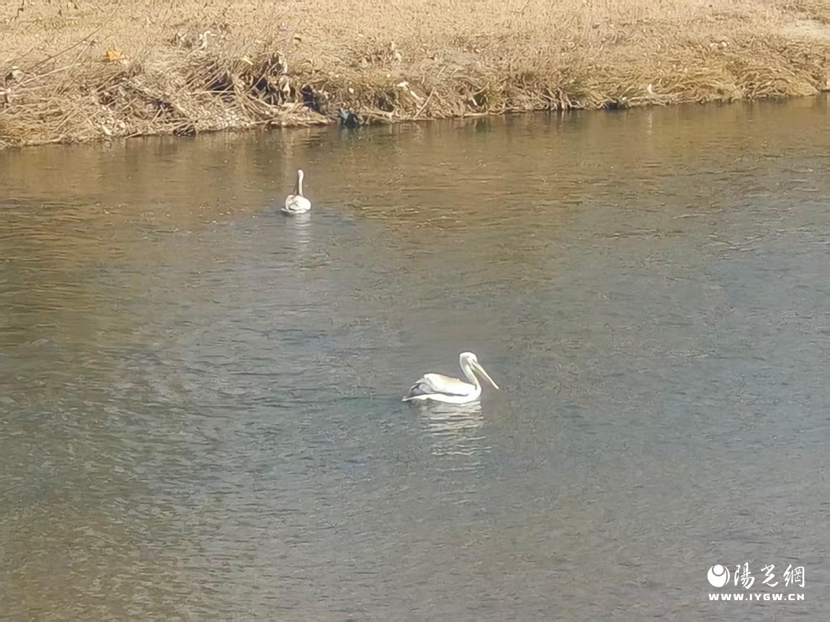 20251210160842355-22-8c867.jpg 20251210160842355-22-8c867.jpg