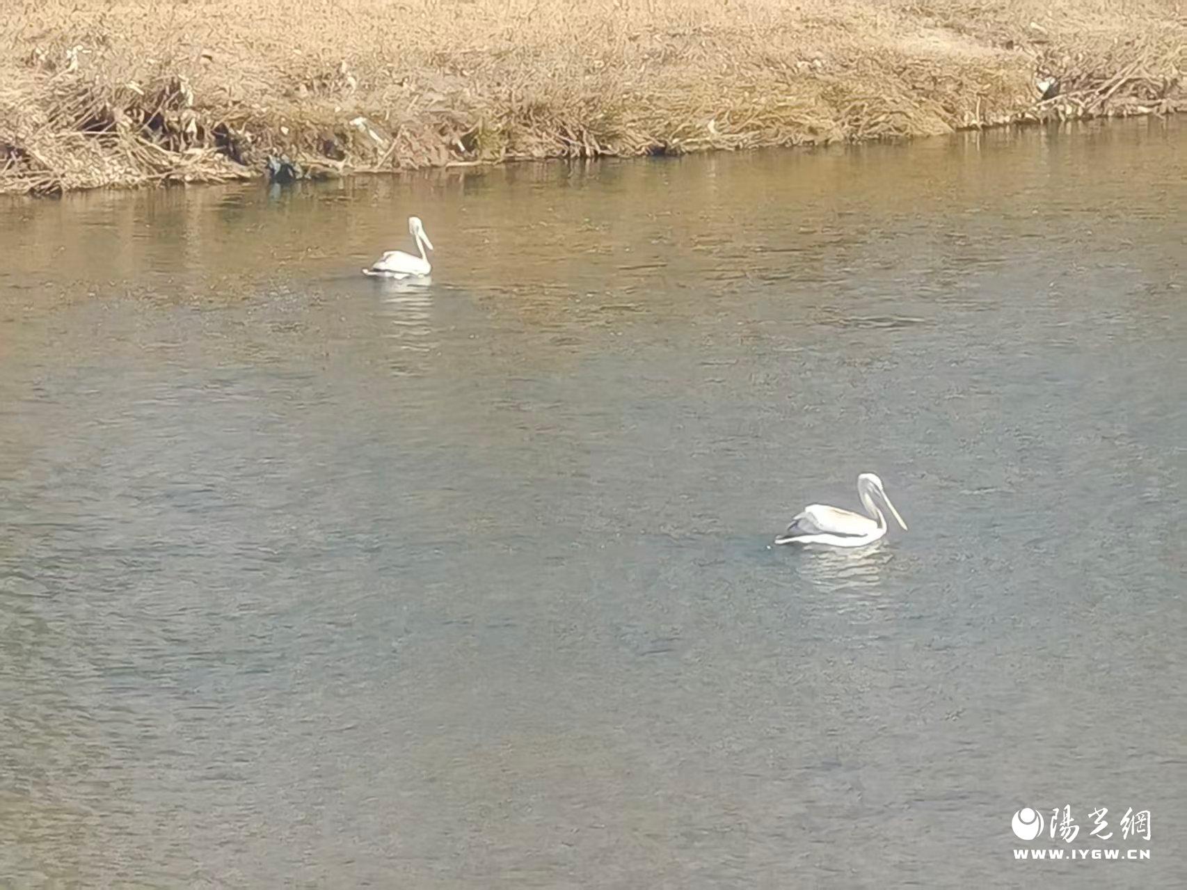 20251210160842434-10-07c83.jpg 20251210160842434-10-07c83.jpg