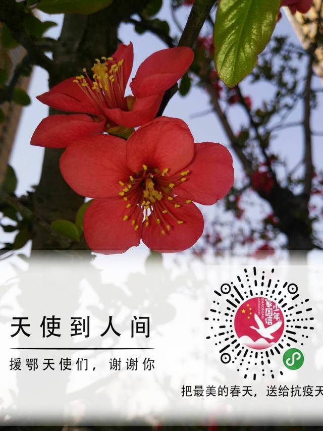 西安市未央区夏家堡小学参与2244人次排名第一