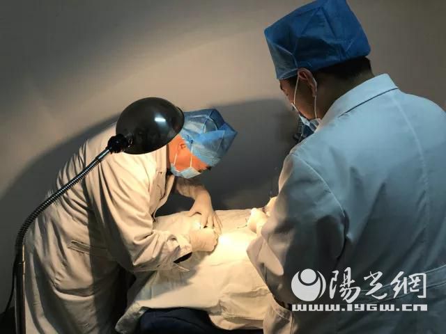 高考备考季 西安市第四医院眼科专家为你守护光明