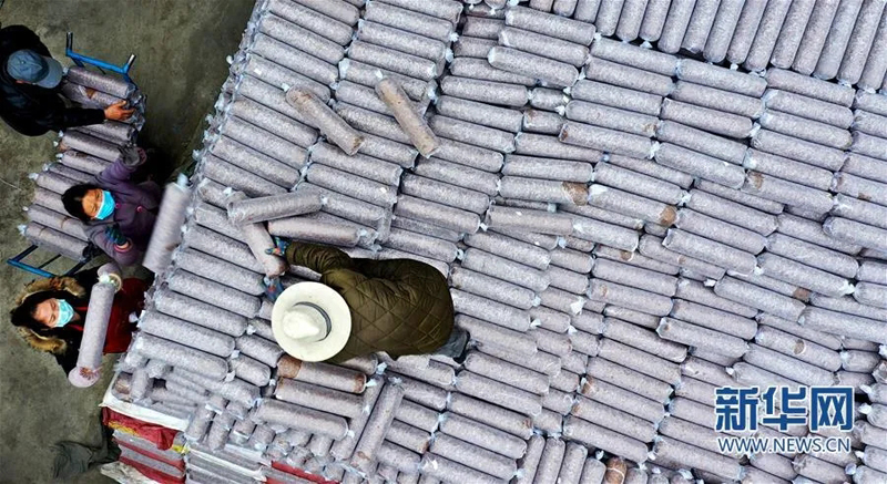 3月6日，村民在留坝县紫柏街道大滩村食用菌生产基地堆放夏菇食用菌菌筒（无人机照片）。