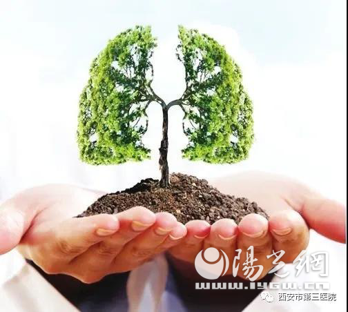 西安第三医院成功救治高龄慢阻肺合并大量气胸患者