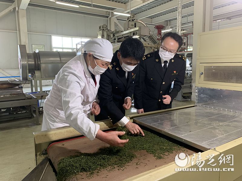 汉中海关聚焦茶叶出口带动茶农增收致富
