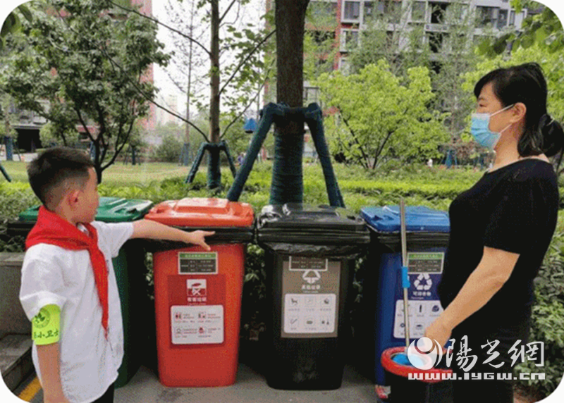 曲江新区：校园生活垃圾分类率达100% 