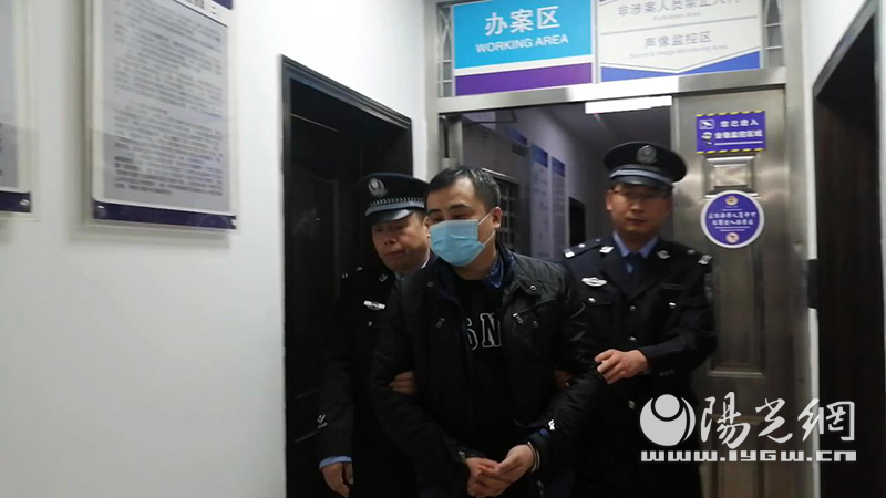  女子轻信赚钱项目被骗百万余元 西安未央警方远赴上海抓获嫌疑人