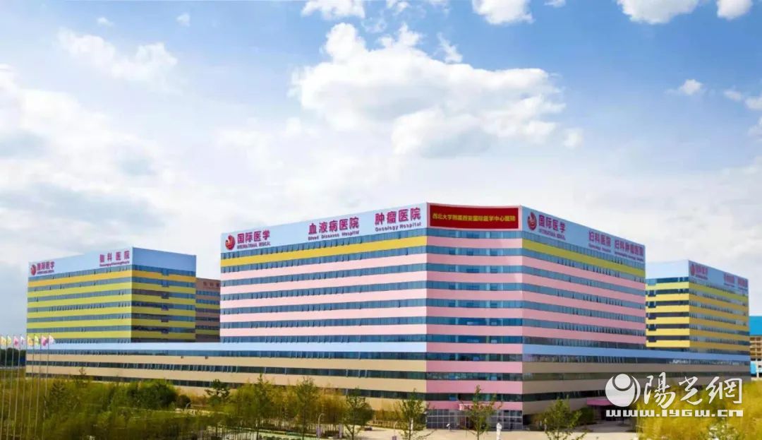 国际医学与国都证券签署战略合作协议