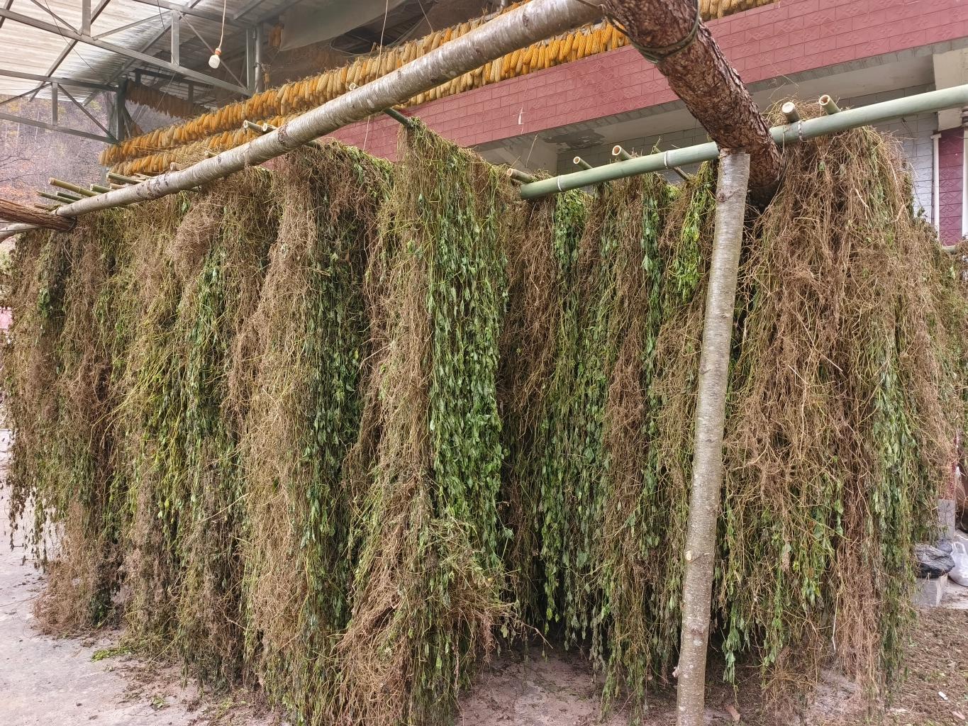 20251120194116065-69-219ba.jpg_scale.jpg