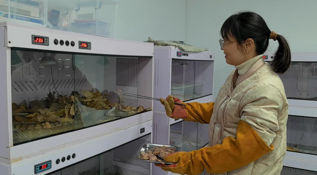 20251219230021355-22-f7dcc.png