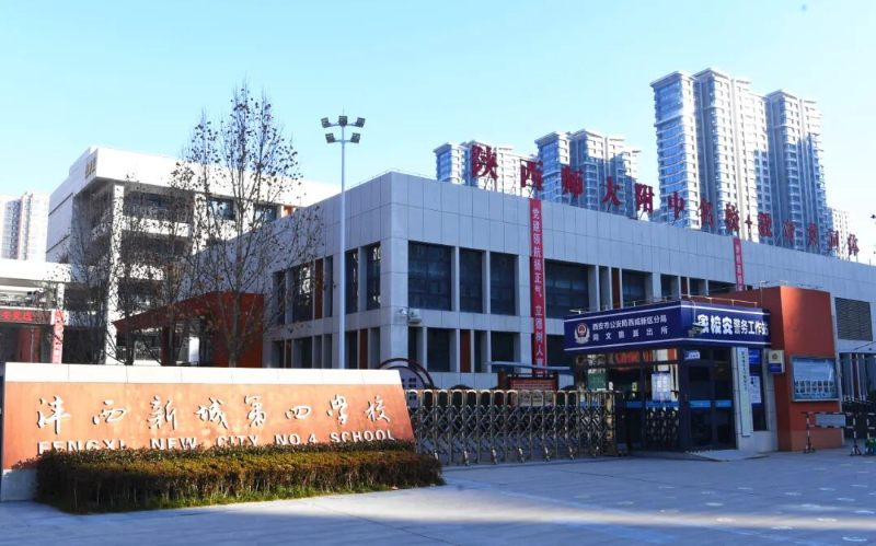 图片4 图片4