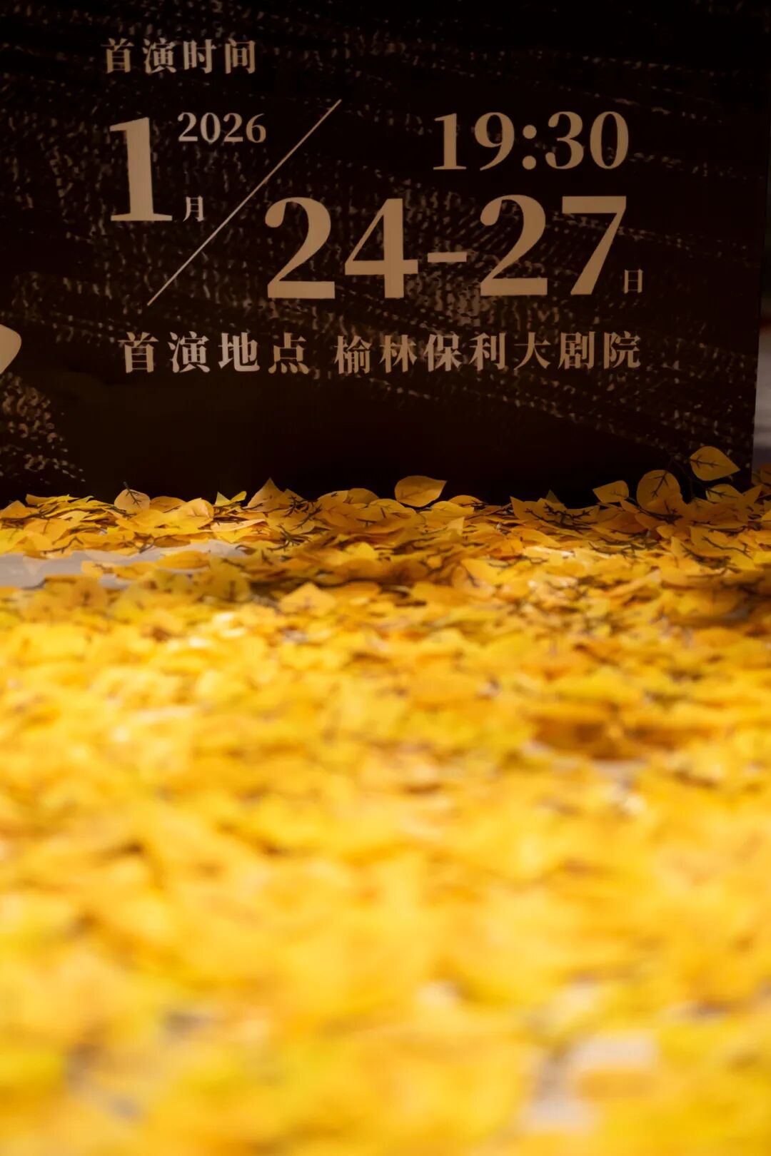 B01_2103.jpg
