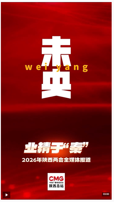 20260128095310246-31-fa663.png