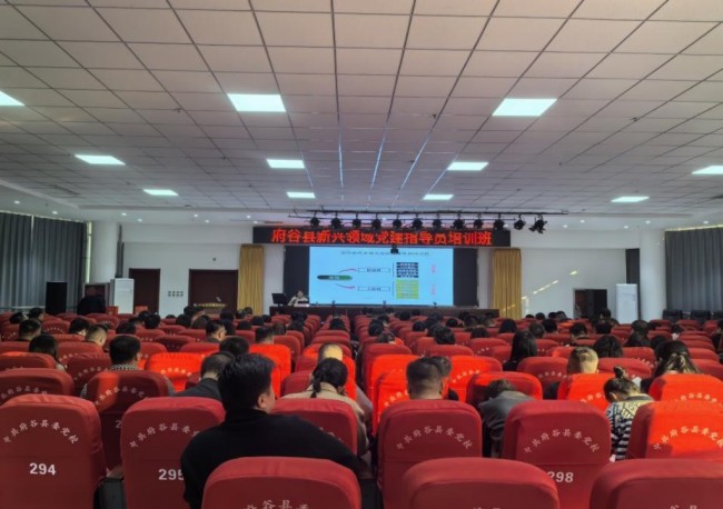 开展新兴领域党建指导员培训班，164名党建指导员参加培训
