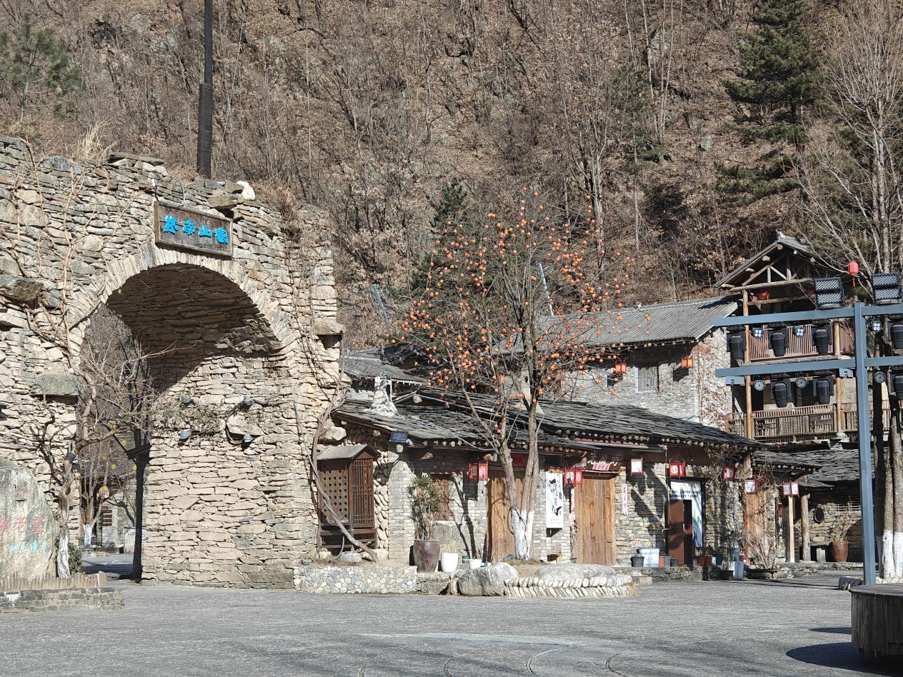 新春走基层丨从“绿水青山愁”到“生态富村乐”  商洛市柞水县朱家湾村的生态致富路_fororder_图片1