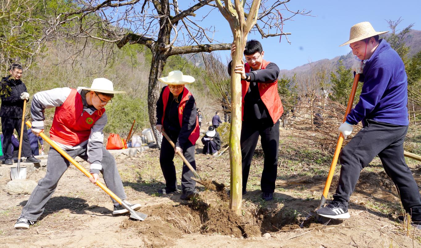 20260312121803669-4-c00b2.JPG_scale.jpg