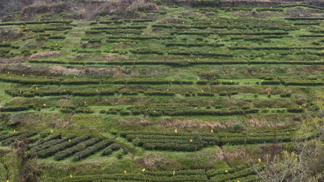 20260327161838423-5-f5f66.png_scale.png
