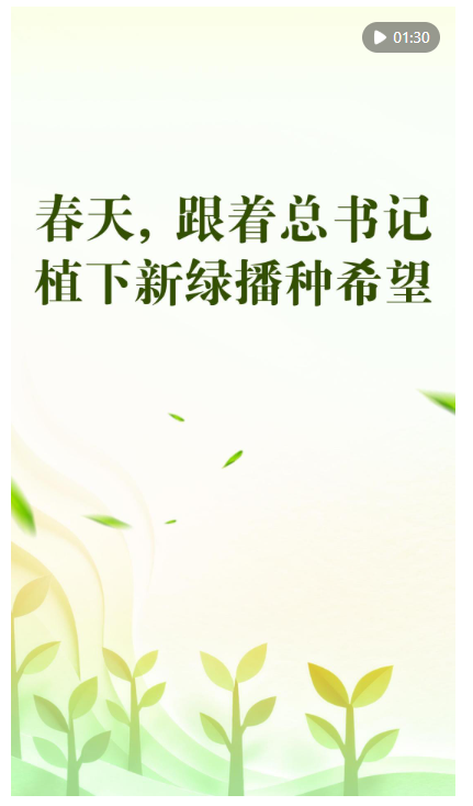 20260331154759323-56-4cf53.png