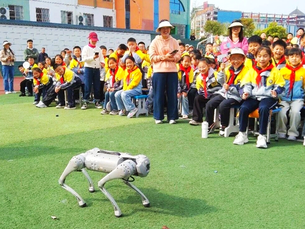 20260407173100195-88-35d0b.jpg