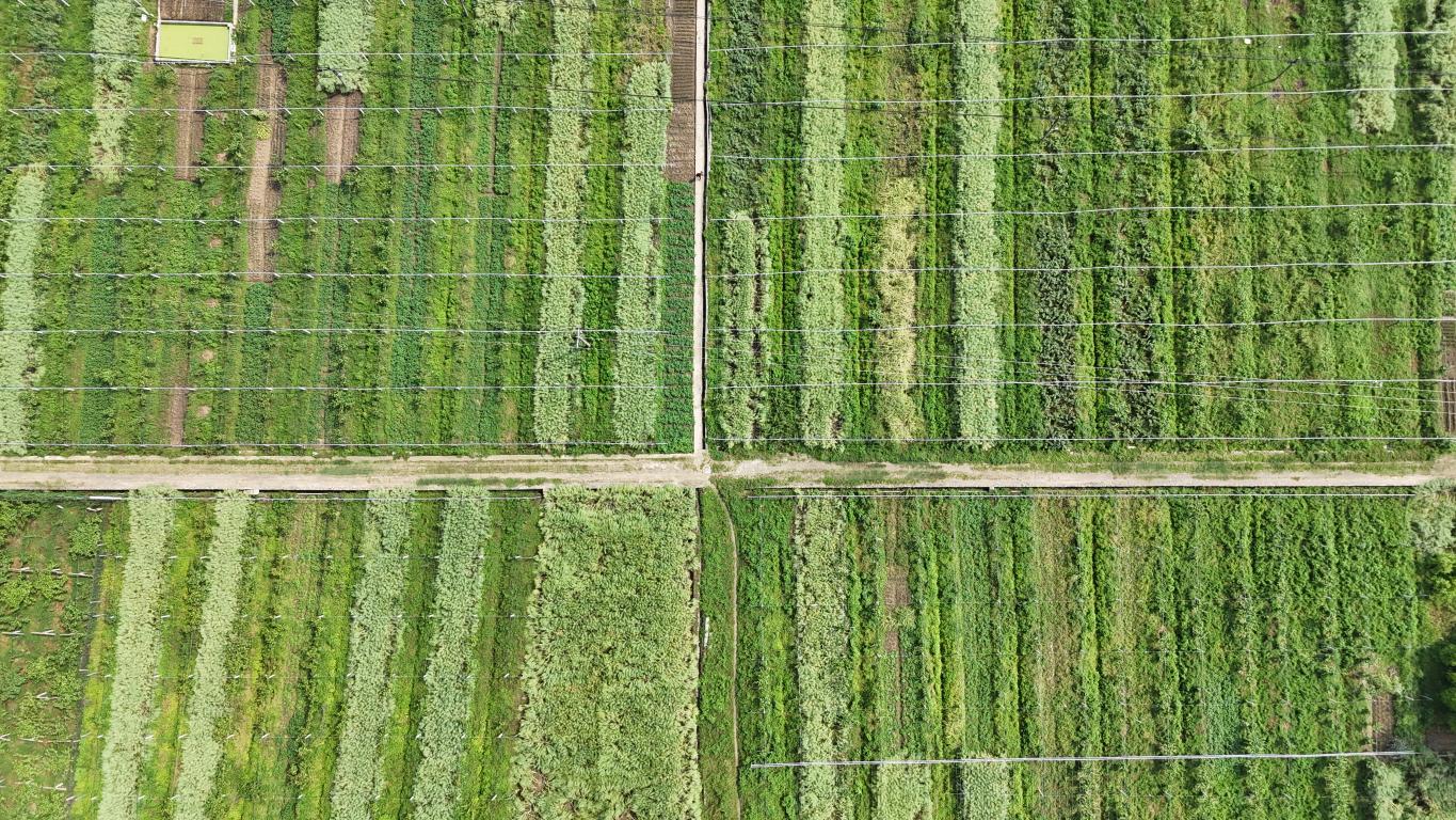 20260507154724333-9-afeb7.jpg_scale.jpg