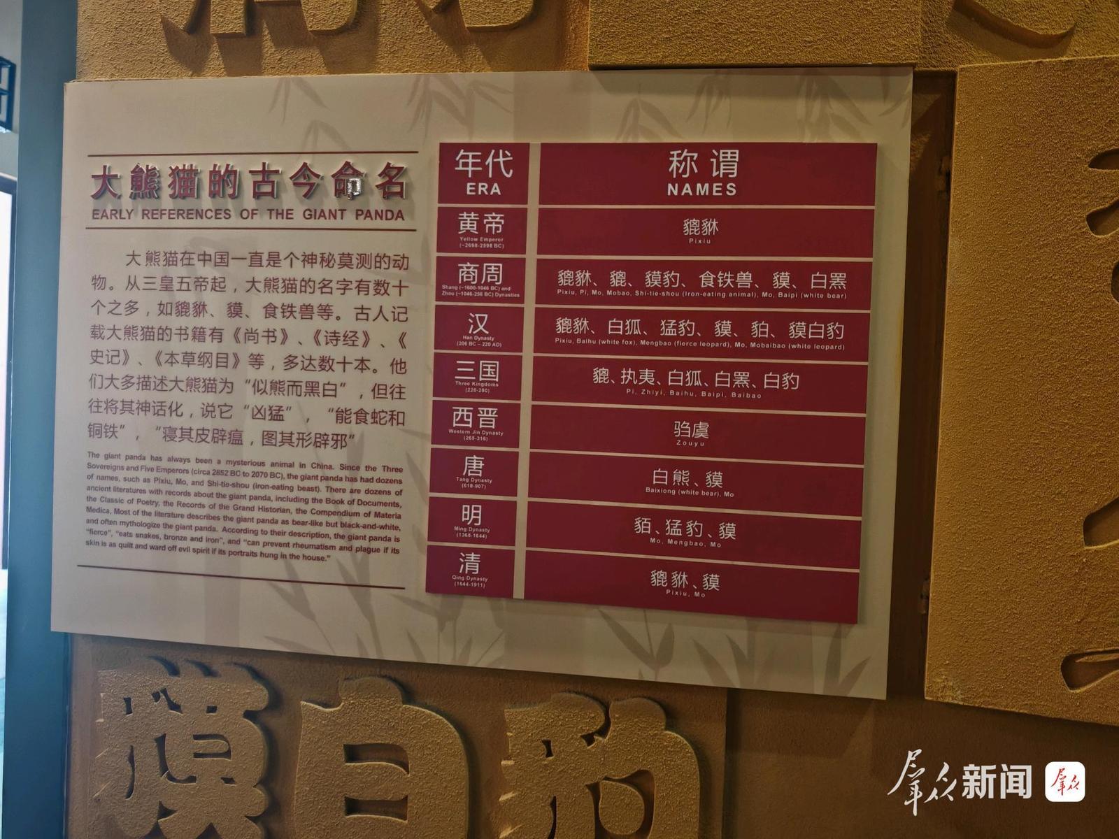 大熊猫古今称谓。群众新闻记者王海涛摄