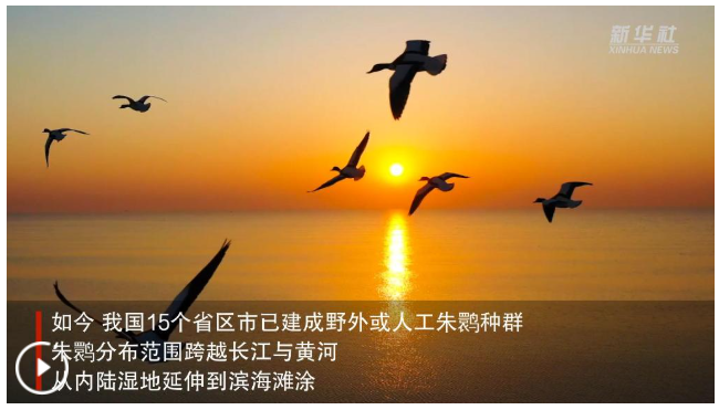 20260607133813381-90-28352.png