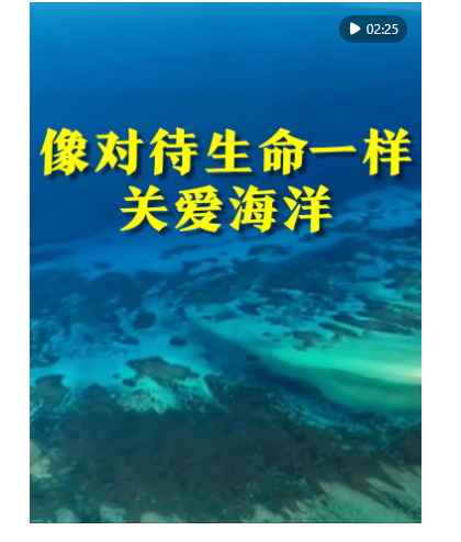 20260608191918423-5-0ba96.png