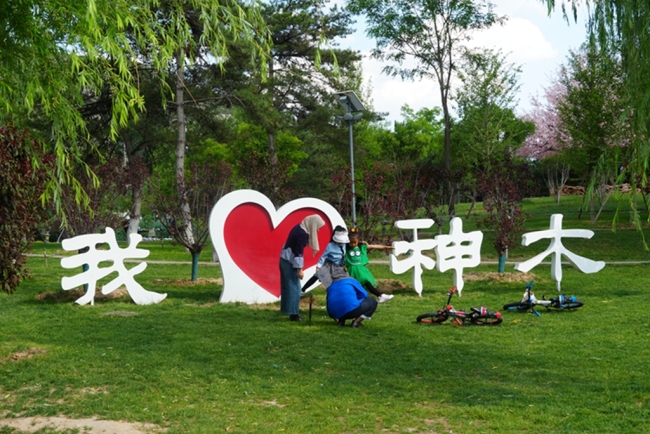 神木夏日“凉”经济“热”力十足